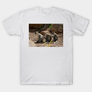 Vervet Monkeys - You Scratch My Back... T-Shirt